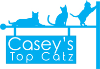 Casey Top Catz Logo